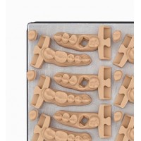 Dental Model Resin