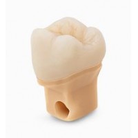 Dental Model Resin