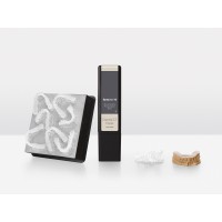 Dental LT Clear resin
